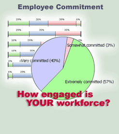 Employee satisfaction survey. Usable employee satisfaction surveys. When you need expertise for your next employee questionnaire, Insightlink can be your trusted research partner. Find out where you stand on the critical 4Cs of employee satisfaction.