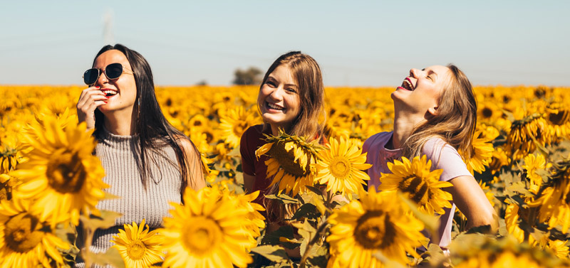 happy sunflowers